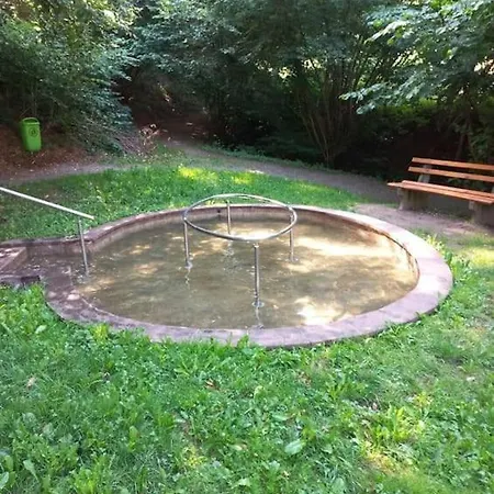 شقة Helgas No 2 Nordrach